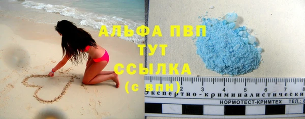 спиды Каменногорск
