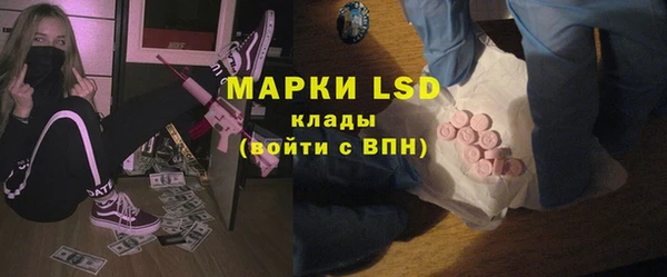 спиды Каменногорск