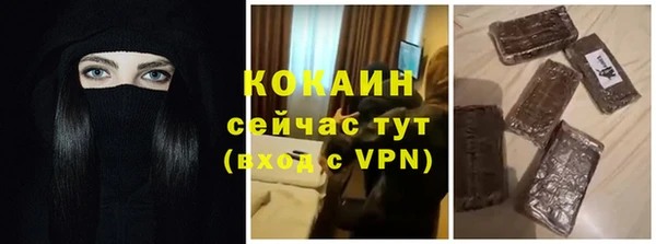 спиды Каменногорск