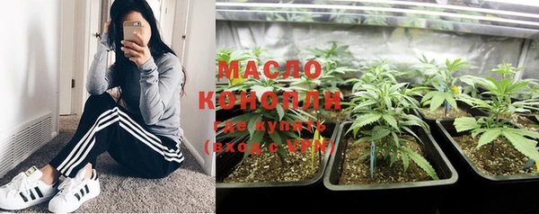 винт Каменка