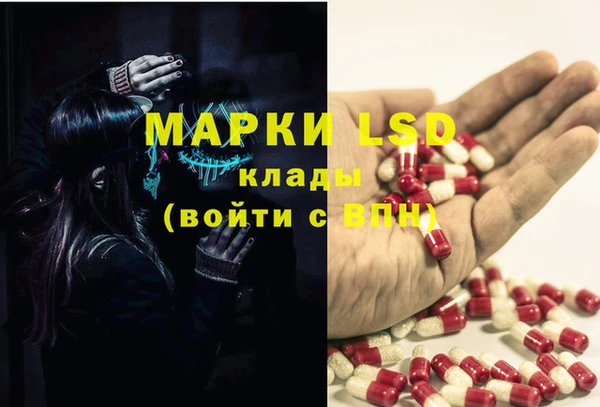спиды Каменногорск