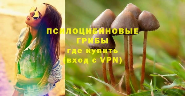 прущая мука Карпинск