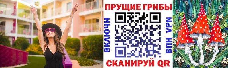Галлюциногенные грибы Psilocybe  Купить  Новомичуринск 