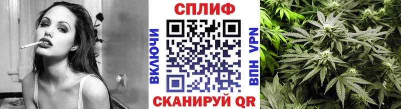 Купить где Новомичуринск Бошки марихуана индика
